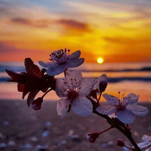 Meet your Posher, Kalena